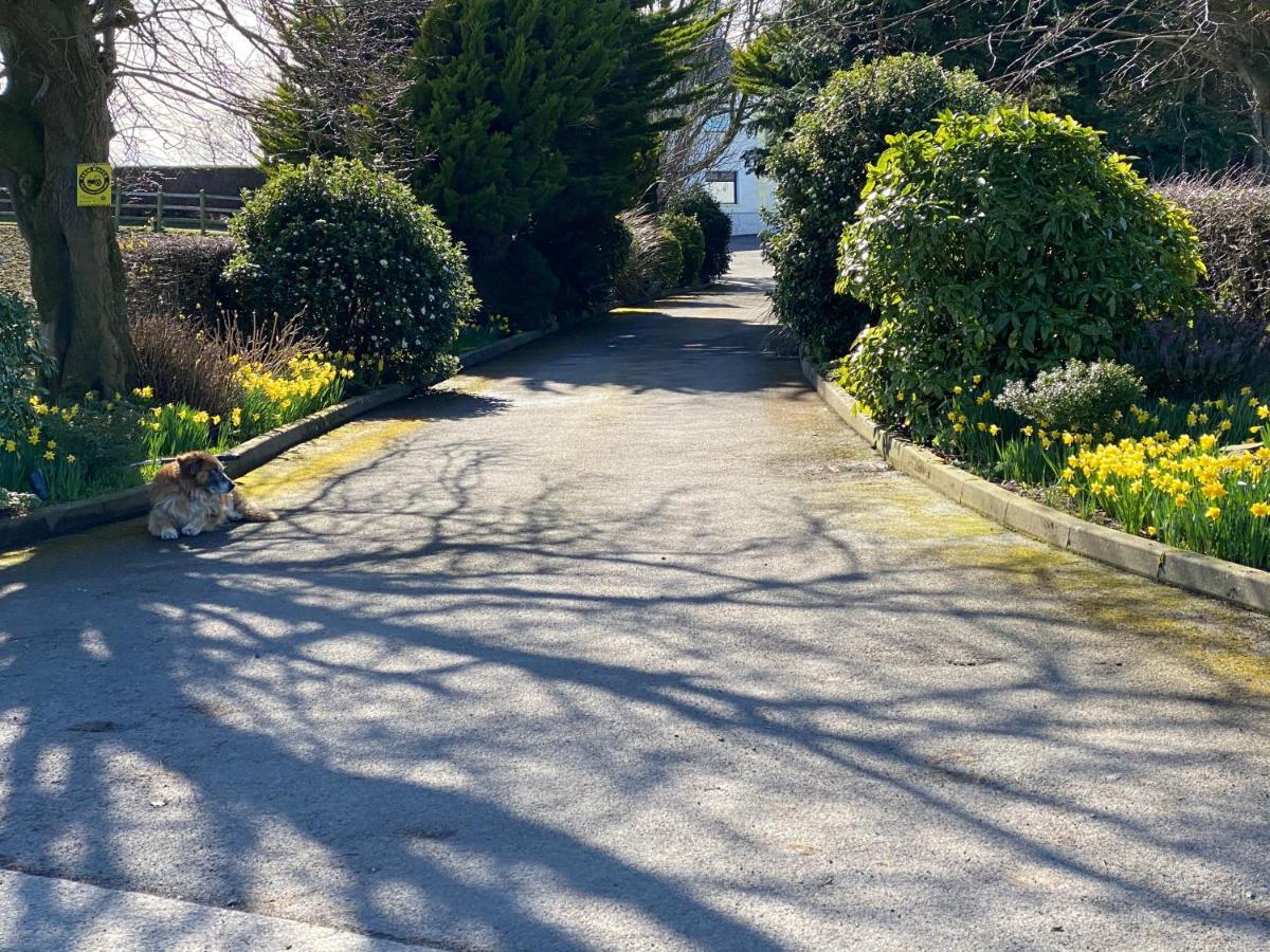 Rose Cottage Captivating 1-Bed Cottage In Bangor Luaran gambar